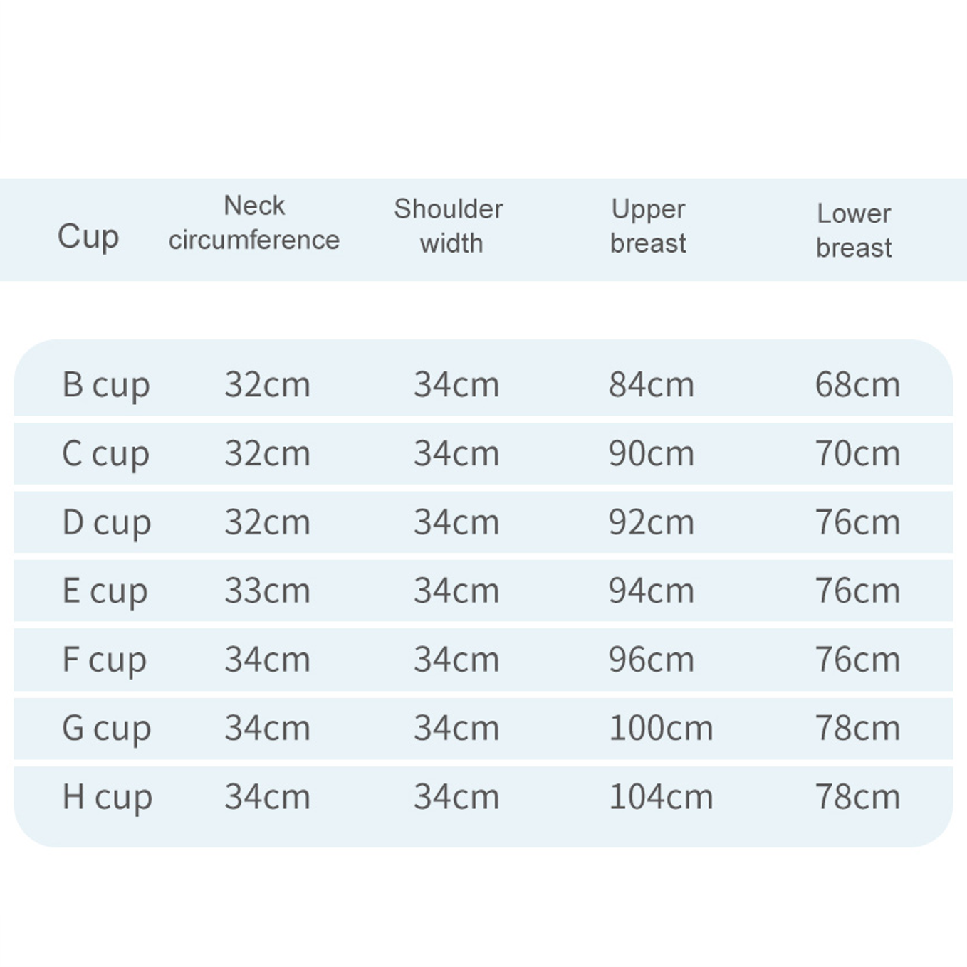 T-C2 Full Coverage Silicone Breastplate — Big Cup